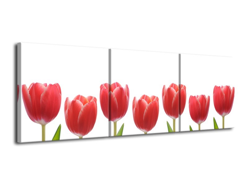 Glasschilderij Tulpen, Bloemen | Wit, Rood, Groen | 120x40cm 3Luik