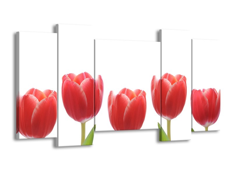 Glasschilderij Tulpen, Bloemen | Wit, Rood, Groen | 120x65cm 5Luik