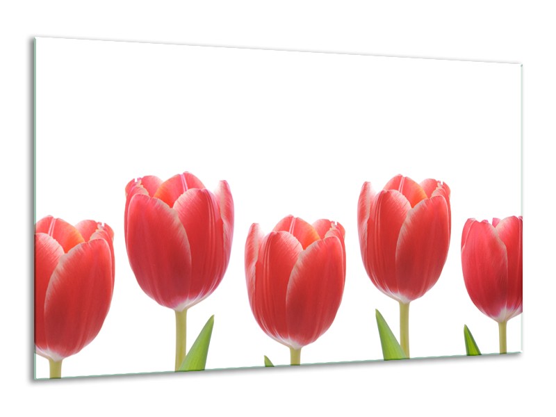 Glasschilderij Tulpen, Bloemen | Wit, Rood, Groen | 120x70cm 1Luik