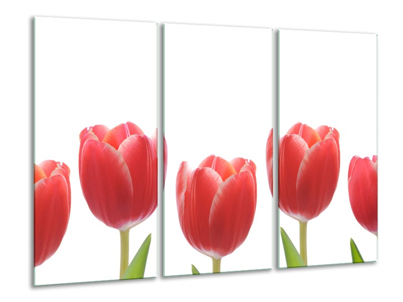 Glasschilderij Tulpen, Bloemen | Wit, Rood, Groen | 120x80cm 3Luik