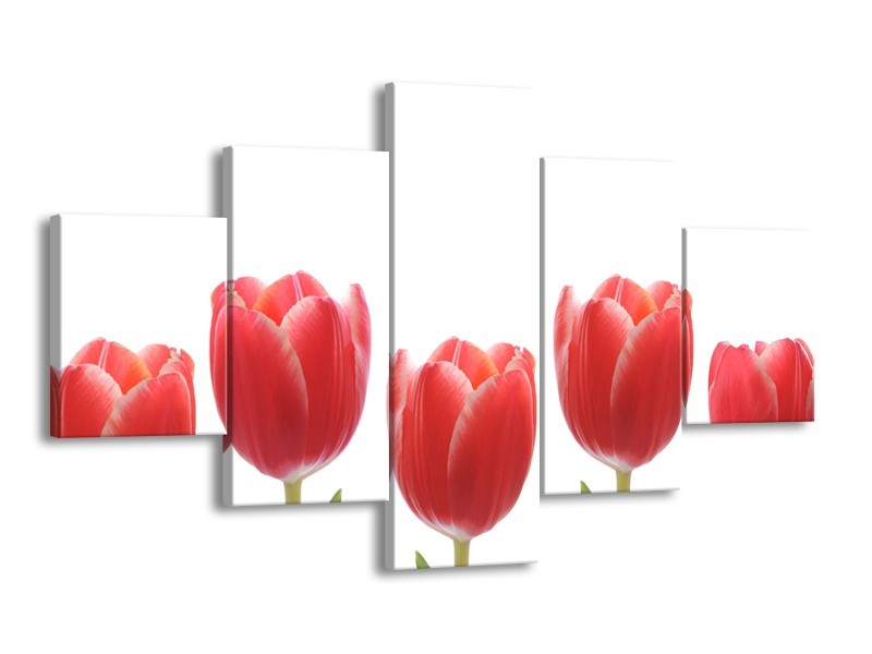 Canvas Schilderij Tulpen, Bloemen | Wit, Rood, Groen | 125x70cm 5Luik