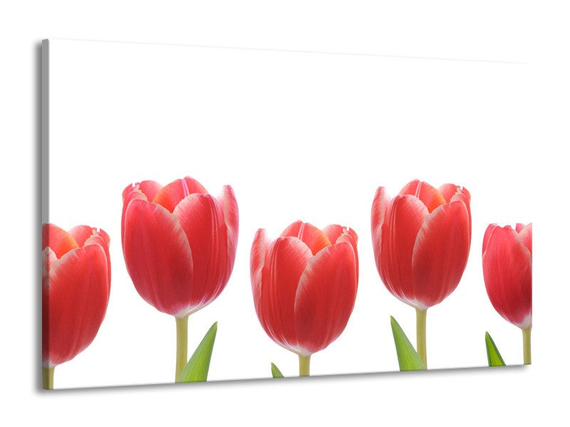 Glasschilderij Tulpen, Bloemen | Wit, Rood, Groen | 140x90cm 1Luik