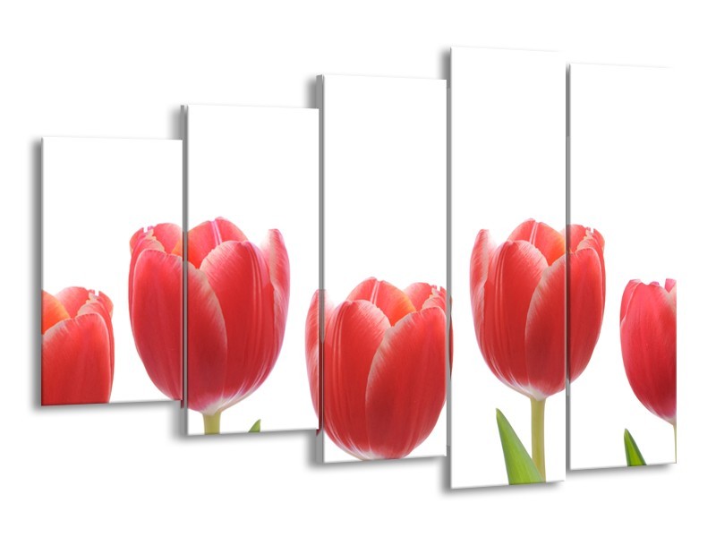 Glasschilderij Tulpen, Bloemen | Wit, Rood, Groen | 150x100cm 5Luik