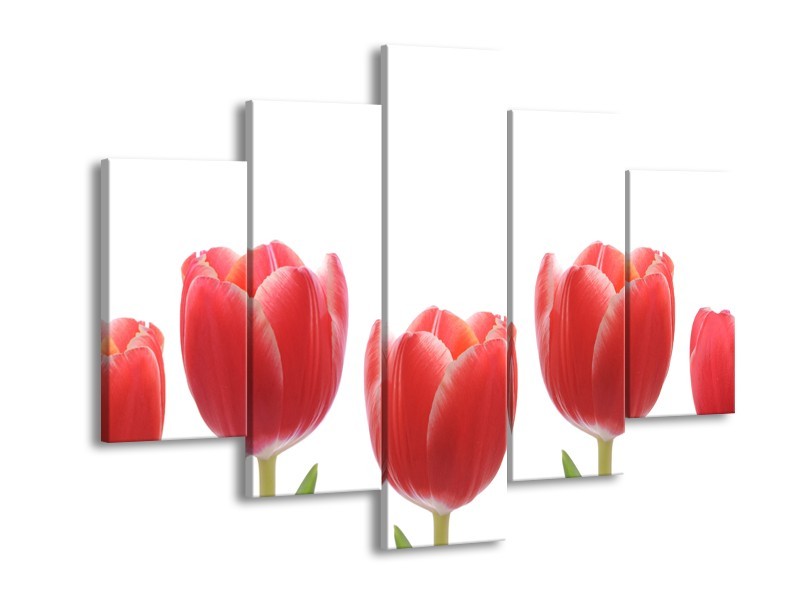 Canvas Schilderij Tulpen, Bloemen | Wit, Rood, Groen | 150x105cm 5Luik