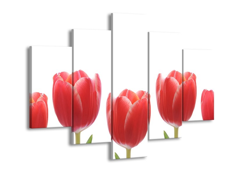 Glasschilderij Tulpen, Bloemen | Wit, Rood, Groen | 150x105cm 5Luik