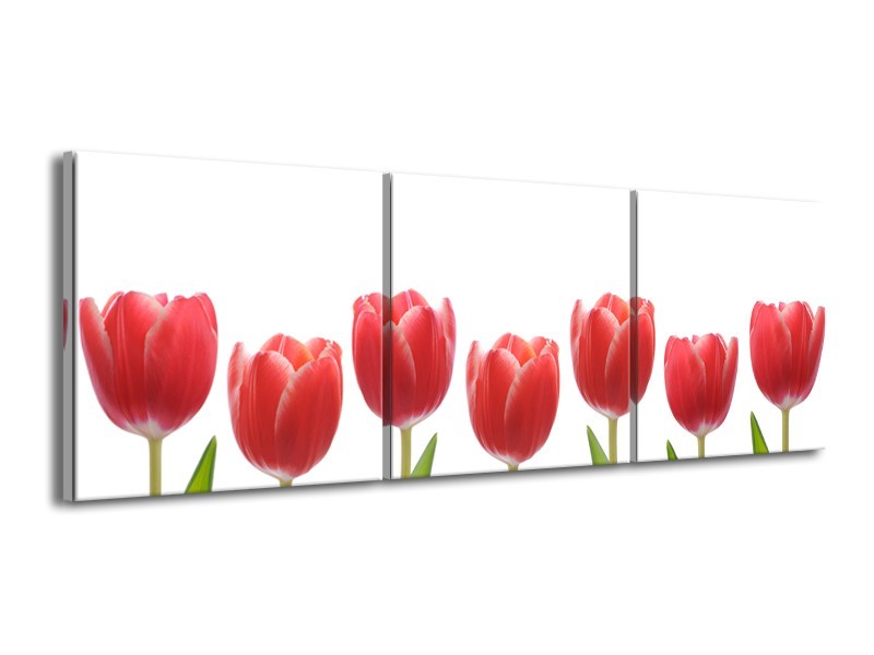 Glasschilderij Tulpen, Bloemen | Wit, Rood, Groen | 150x50cm 3Luik