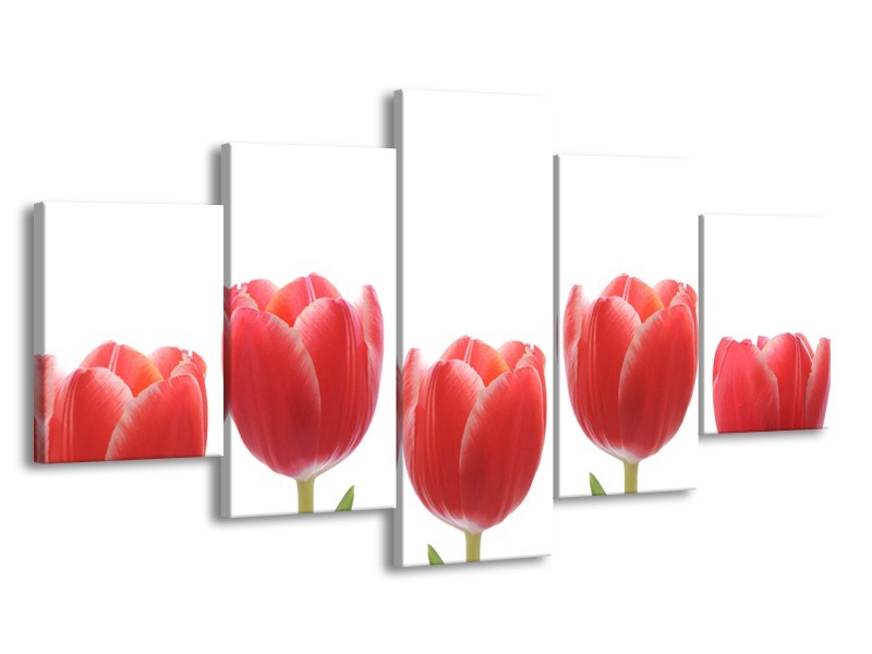 Glasschilderij Tulpen, Bloemen | Wit, Rood, Groen | 150x80cm 5Luik