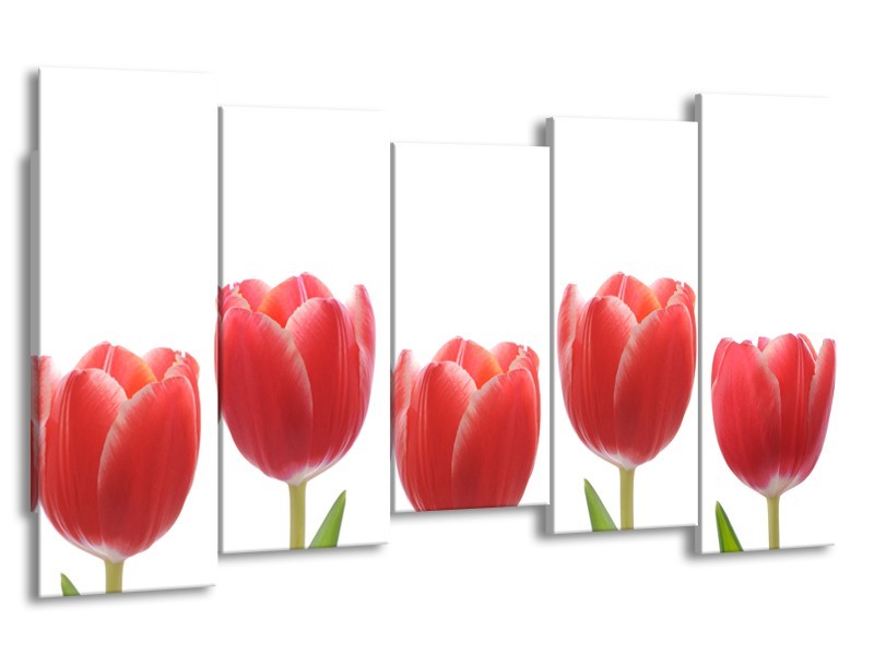 Canvas Schilderij Tulpen, Bloemen | Wit, Rood, Groen | 150x80cm 5Luik