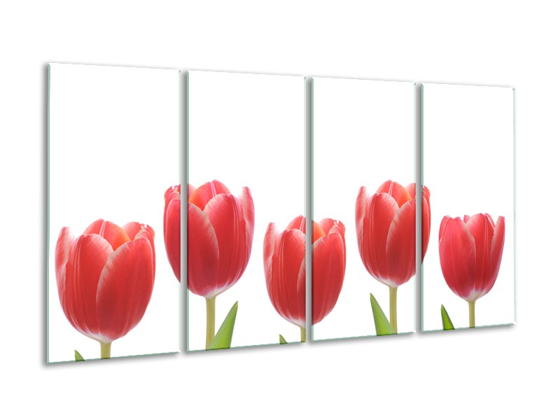 Canvas Schilderij Tulpen, Bloemen | Wit, Rood, Groen | 160x80cm 4Luik