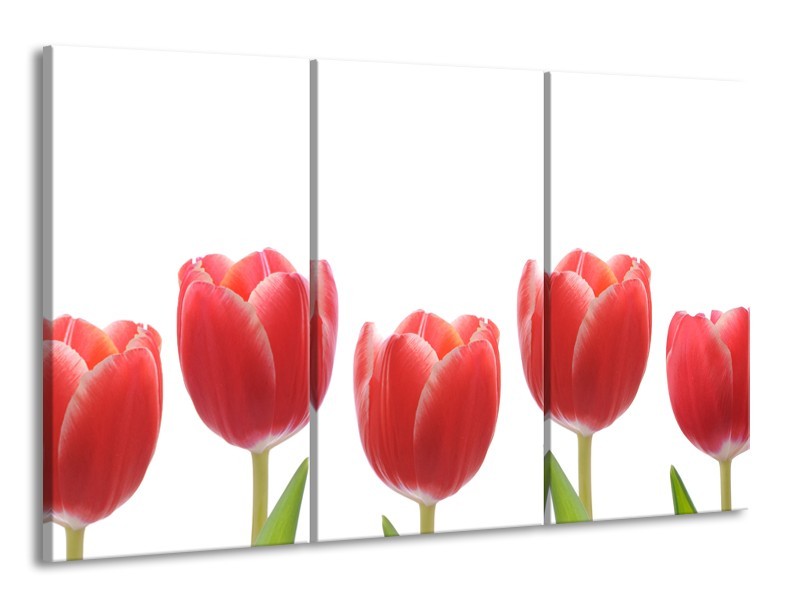 Canvas Schilderij Tulpen, Bloemen | Wit, Rood, Groen | 165x100cm 3Luik