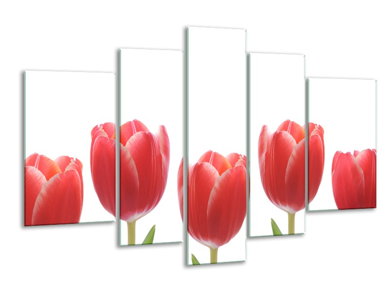 Glasschilderij Tulpen, Bloemen | Wit, Rood, Groen | 170x100cm 5Luik