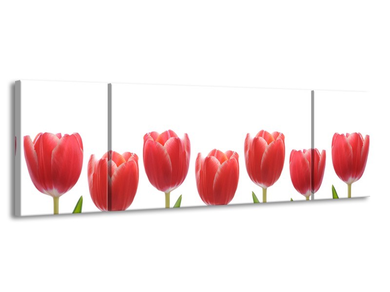 Glasschilderij Tulpen, Bloemen | Wit, Rood, Groen | 170x50cm 3Luik