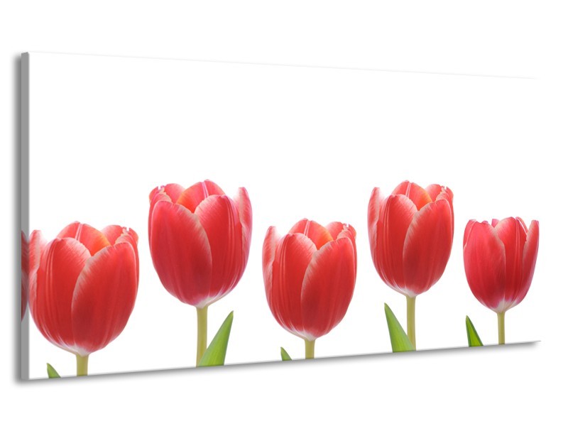 Canvas Schilderij Tulpen, Bloemen | Wit, Rood, Groen | 170x90cm 1Luik