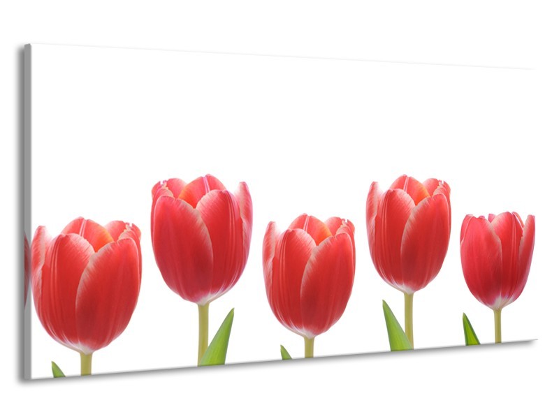 Canvas Schilderij Tulpen, Bloemen | Wit, Rood, Groen | 190x100cm 1Luik