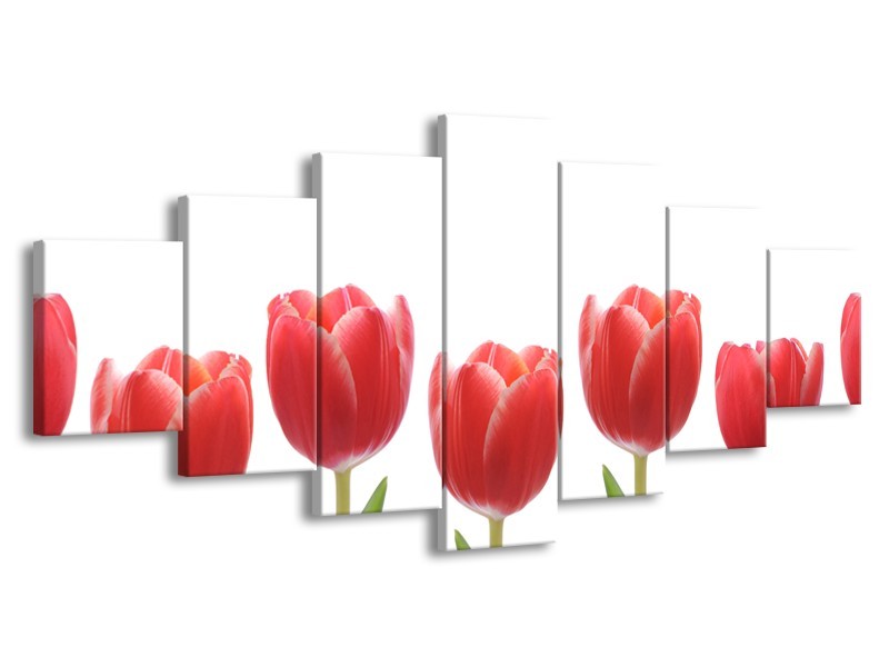 Canvas Schilderij Tulpen, Bloemen | Wit, Rood, Groen | 210x100cm 7Luik