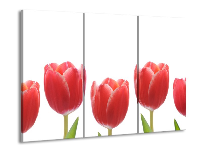 Canvas Schilderij Tulpen, Bloemen | Wit, Rood, Groen | 60x90cm 3Luik