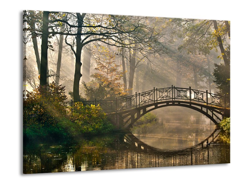 Glasschilderij Brug, Natuur | Grijs, Groen, Bruin | 100x70cm 1Luik