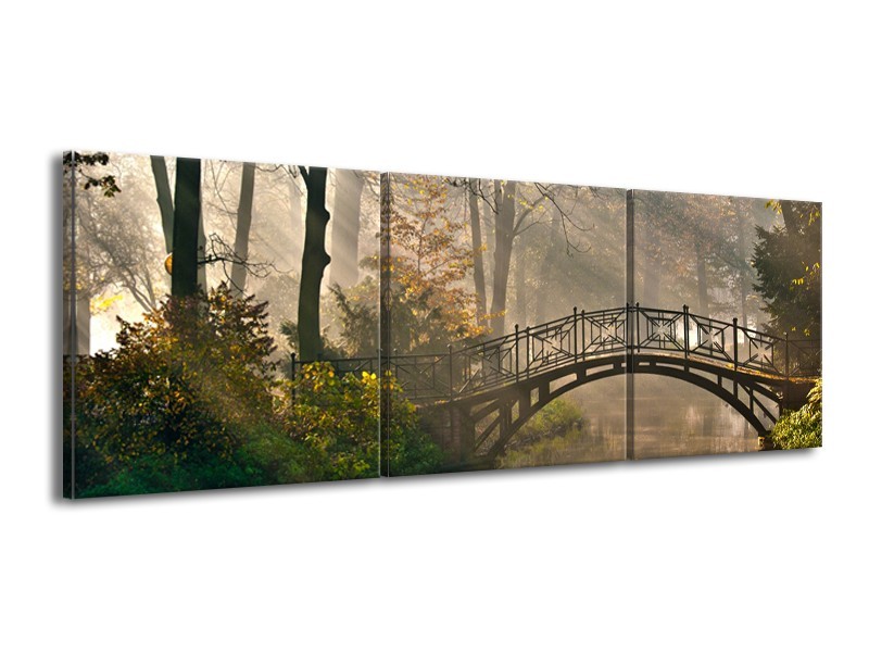 Glasschilderij Brug, Natuur | Grijs, Groen, Bruin | 150x50cm 3Luik