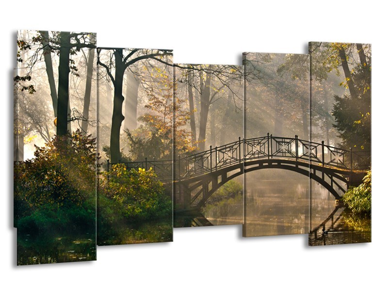 Glasschilderij Brug, Natuur | Grijs, Groen, Bruin | 150x80cm 5Luik