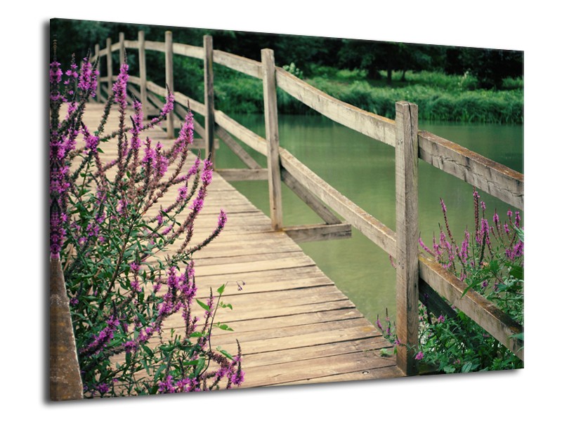 Glasschilderij Natuur, Brug | Groen, Paars, Grijs | 70x50cm 1Luik