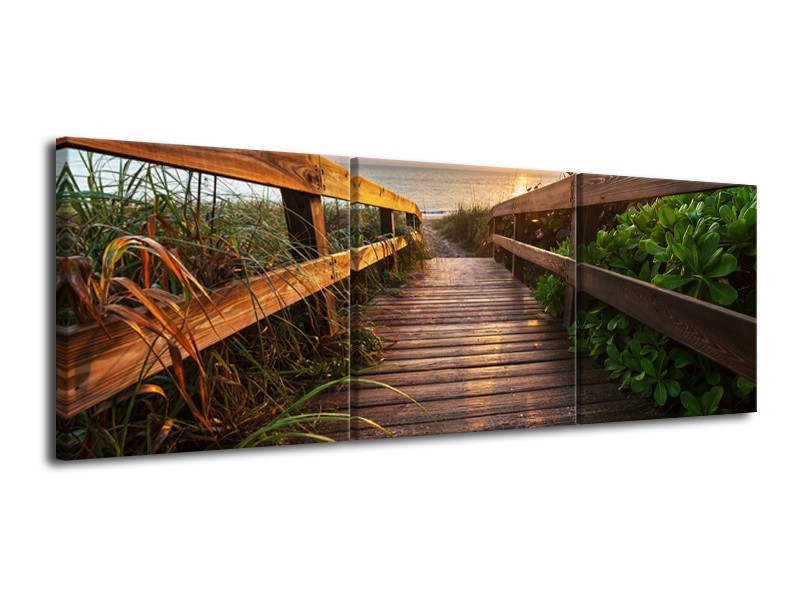 Glasschilderij Natuur, Brug | Bruin, Groen | 120x40cm 3Luik