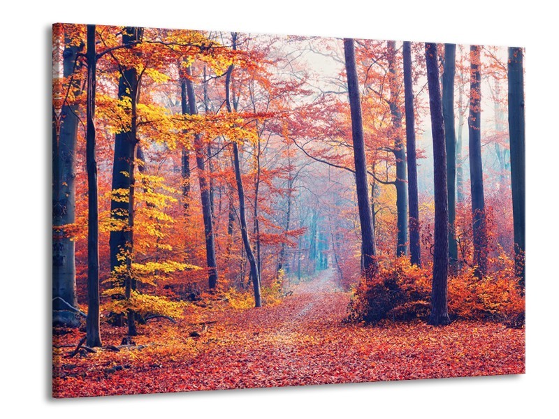 Canvas Schilderij Bos, Herfst | Oranje, Bruin, Grijs | 100x70cm 1Luik