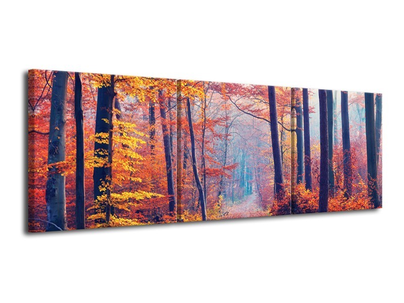 Canvas Schilderij Bos, Herfst | Oranje, Bruin, Grijs | 120x40cm 3Luik