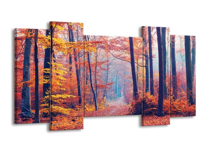 Glasschilderij Bos, Herfst | Oranje, Bruin, Grijs | 120x65cm 5Luik