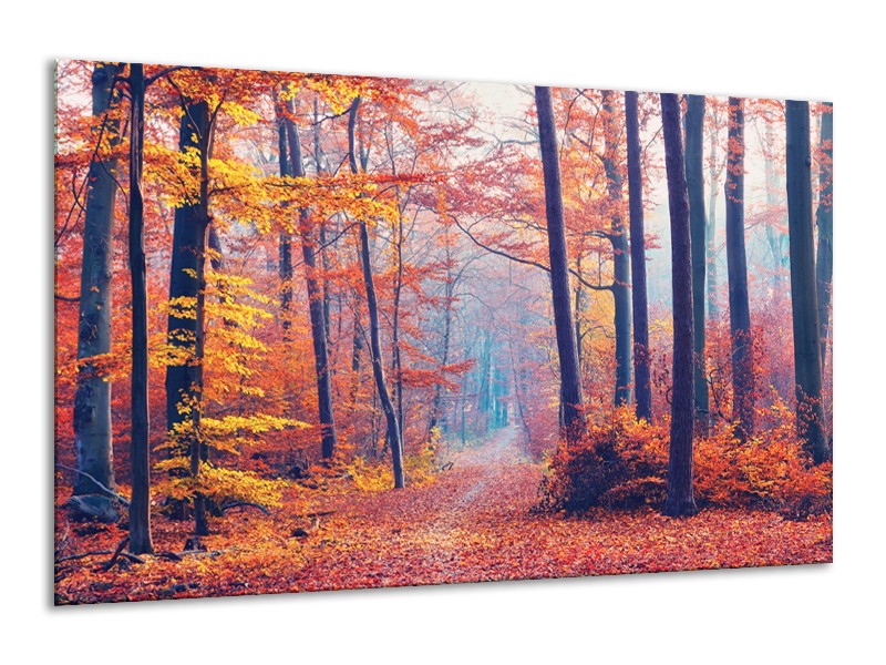 Canvas Schilderij Bos, Herfst | Oranje, Bruin, Grijs | 120x70cm 1Luik