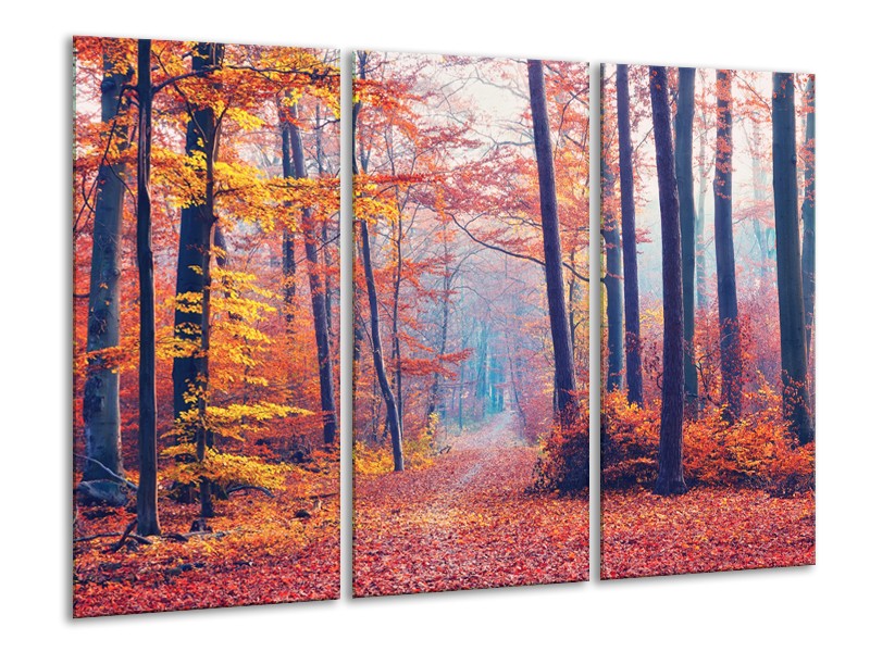 Glasschilderij Bos, Herfst | Oranje, Bruin, Grijs | 120x80cm 3Luik