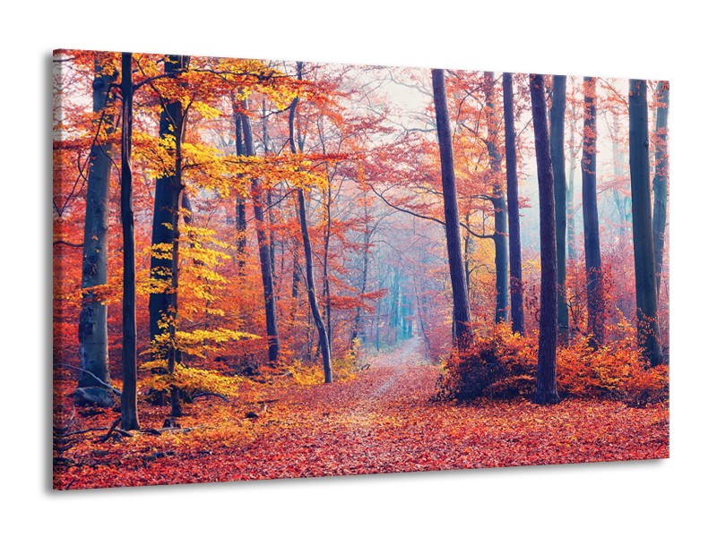 Canvas Schilderij Bos, Herfst | Oranje, Bruin, Grijs | 140x90cm 1Luik