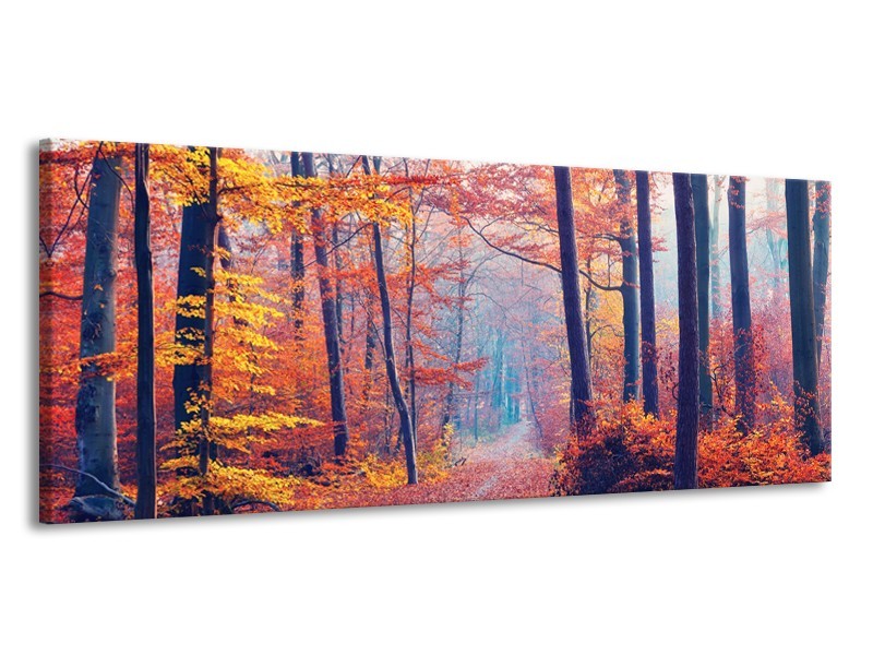 Glasschilderij Bos, Herfst | Oranje, Bruin, Grijs | 145x58cm 1Luik