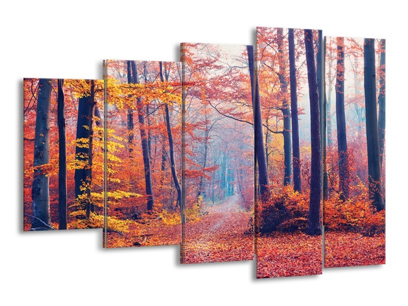 Canvas Schilderij Bos, Herfst | Oranje, Bruin, Grijs | 150x100cm 5Luik