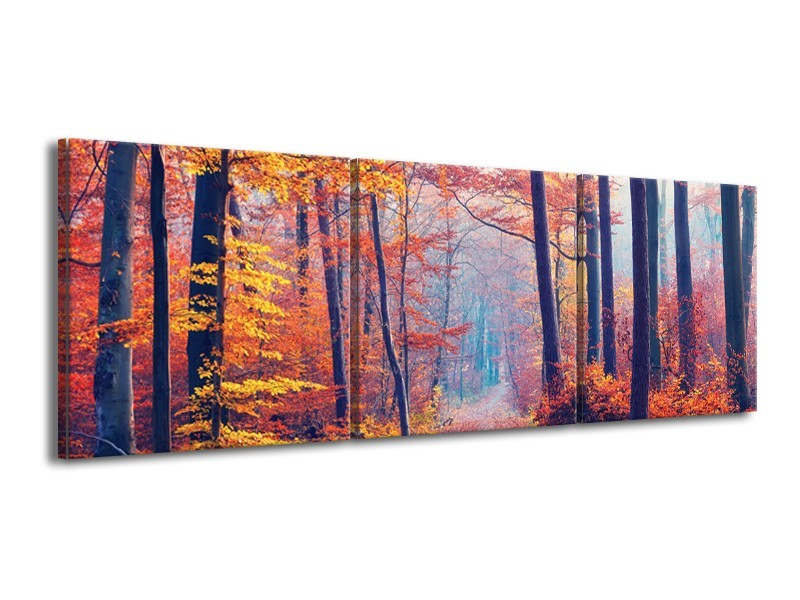 Canvas Schilderij Bos, Herfst | Oranje, Bruin, Grijs | 150x50cm 3Luik