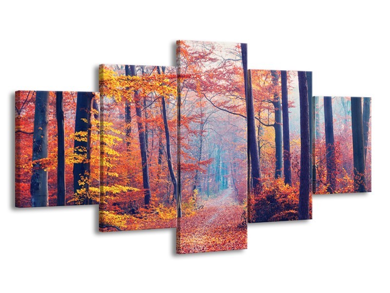 Canvas Schilderij Bos, Herfst | Oranje, Bruin, Grijs | 150x80cm 5Luik