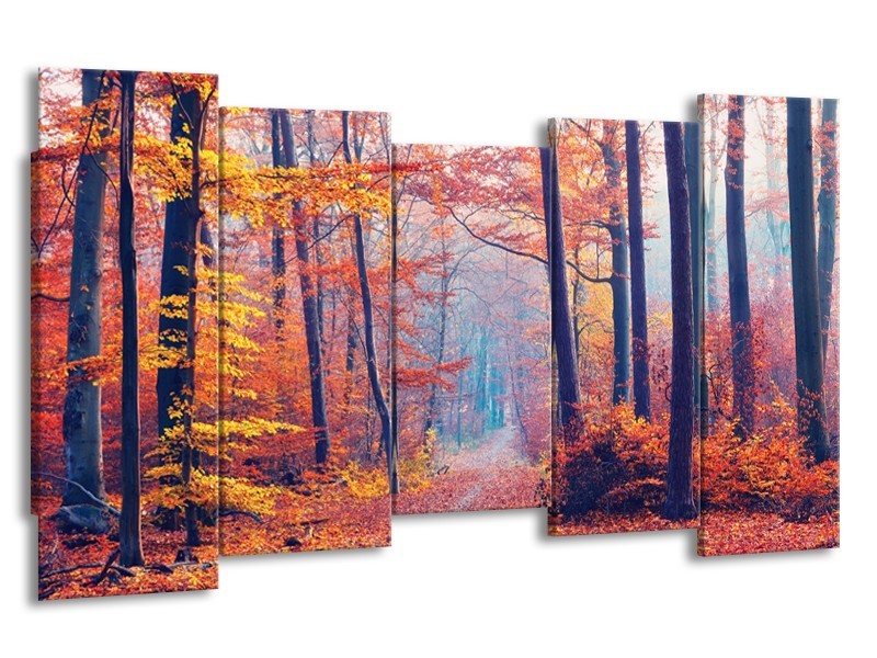 Canvas Schilderij Bos, Herfst | Oranje, Bruin, Grijs | 150x80cm 5Luik