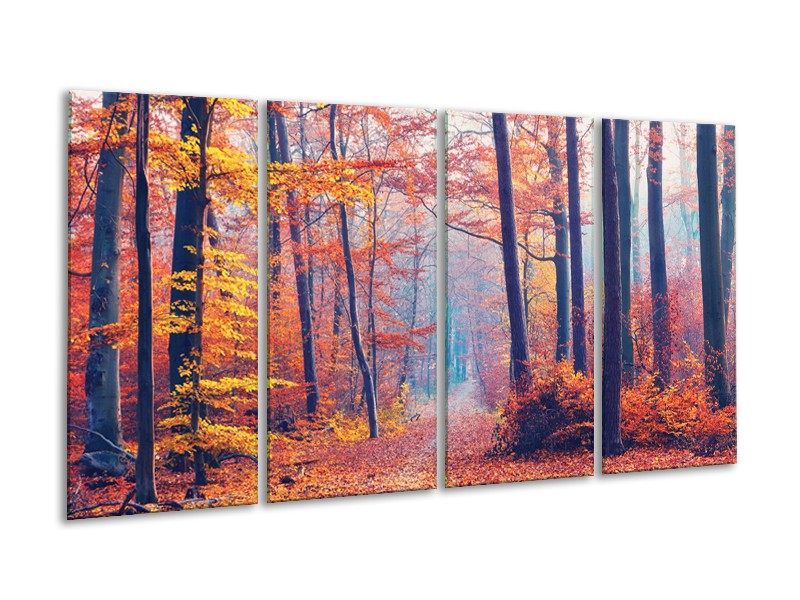 Glasschilderij Bos, Herfst | Oranje, Bruin, Grijs | 160x80cm 4Luik