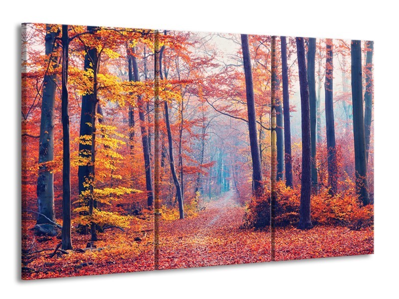 Canvas Schilderij Bos, Herfst | Oranje, Bruin, Grijs | 165x100cm 3Luik