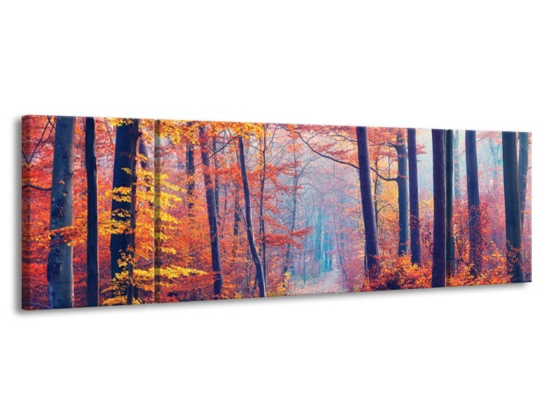 Glasschilderij Bos, Herfst | Oranje, Bruin, Grijs | 170x50cm 3Luik