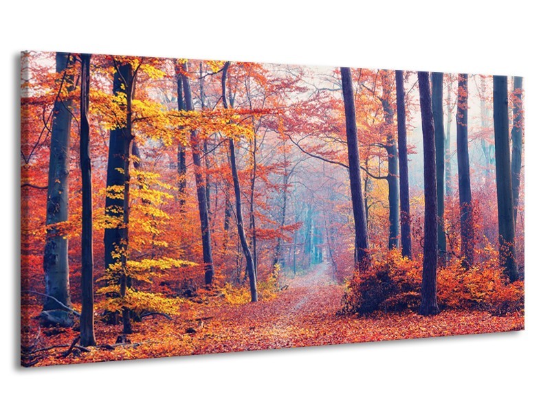 Canvas Schilderij Bos, Herfst | Oranje, Bruin, Grijs | 170x90cm 1Luik