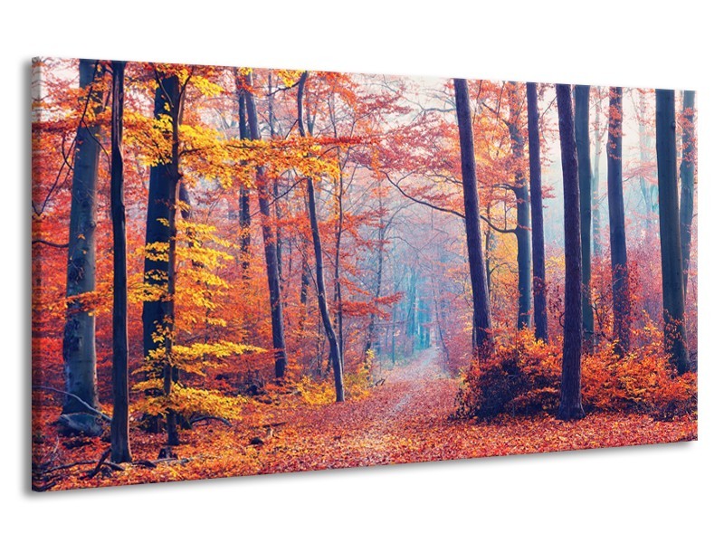 Canvas Schilderij Bos, Herfst | Oranje, Bruin, Grijs | 190x100cm 1Luik