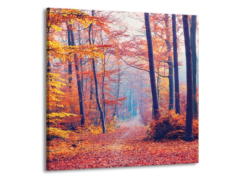 Canvas Schilderij Bos, Herfst | Oranje, Bruin, Grijs | 50x50cm 1Luik