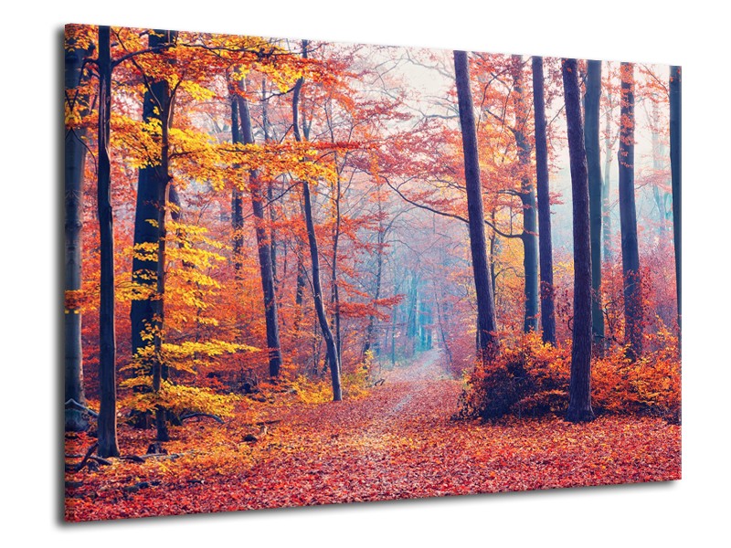 Canvas Schilderij Bos, Herfst | Oranje, Bruin, Grijs | 70x50cm 1Luik