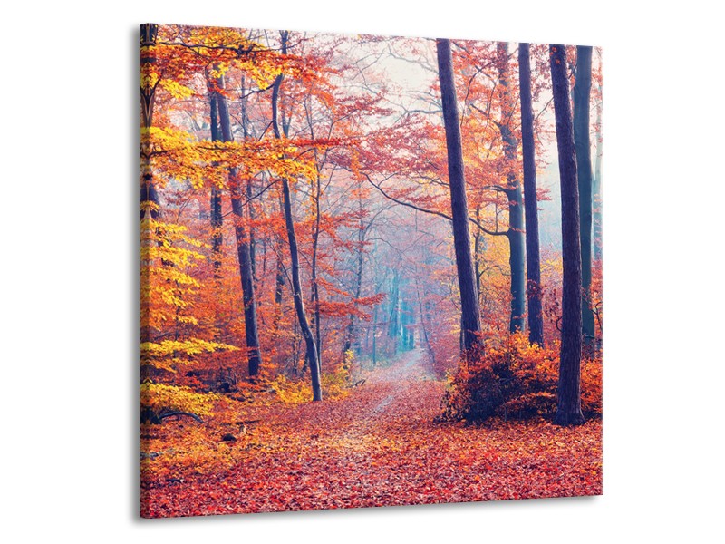 Canvas Schilderij Bos, Herfst | Oranje, Bruin, Grijs | 70x70cm 1Luik