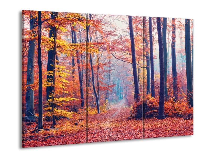 Glasschilderij Bos, Herfst | Oranje, Bruin, Grijs | 60x90cm 3Luik