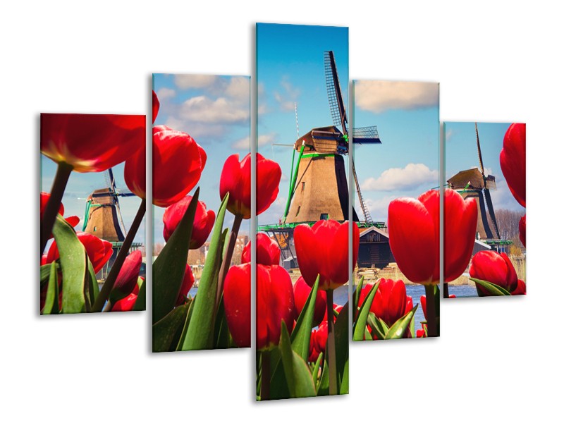 Canvas Schilderij Tulpen, Molen | Rood, Blauw, Grijs | 100x70cm 5Luik