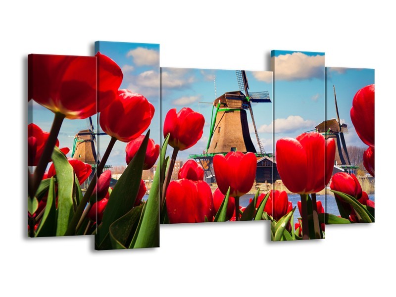 Glasschilderij Tulpen, Molen | Rood, Blauw, Grijs | 120x65cm 5Luik
