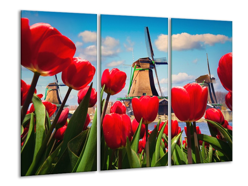 Canvas Schilderij Tulpen, Molen | Rood, Blauw, Grijs | 120x80cm 3Luik