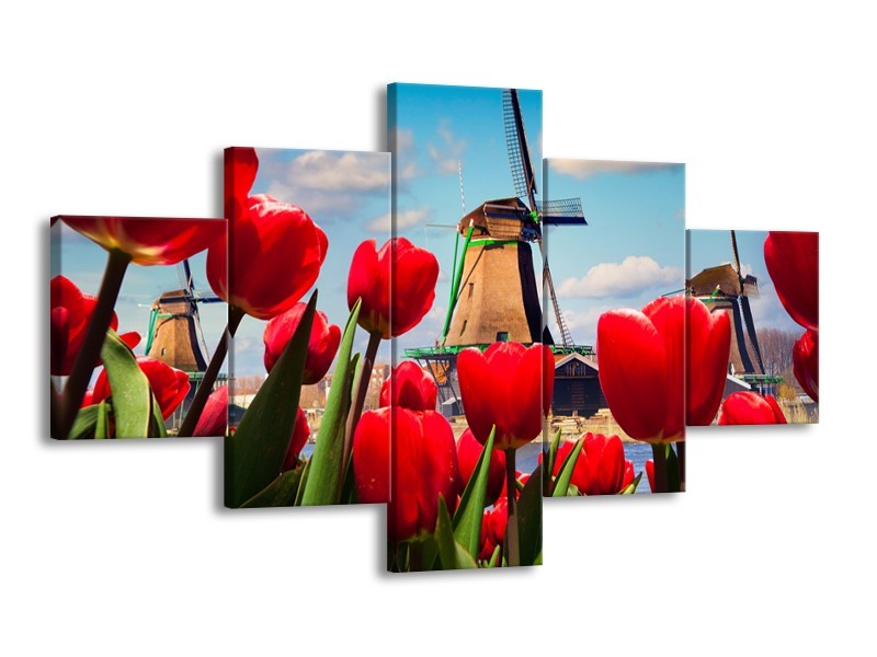 Glasschilderij Tulpen, Molen | Rood, Blauw, Grijs | 125x70cm 5Luik