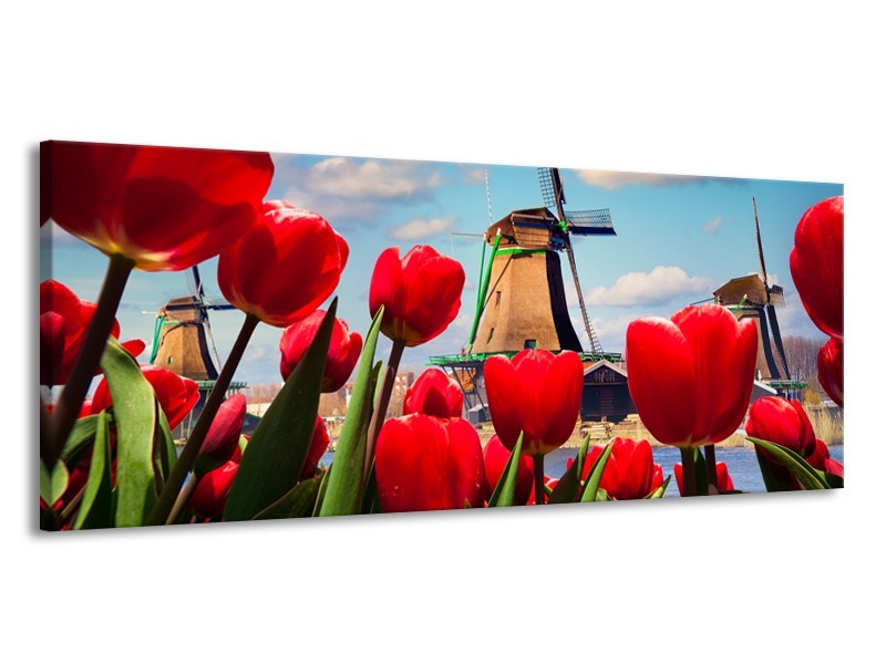 Canvas Schilderij Tulpen, Molen | Rood, Blauw, Grijs | 145x58cm 1Luik